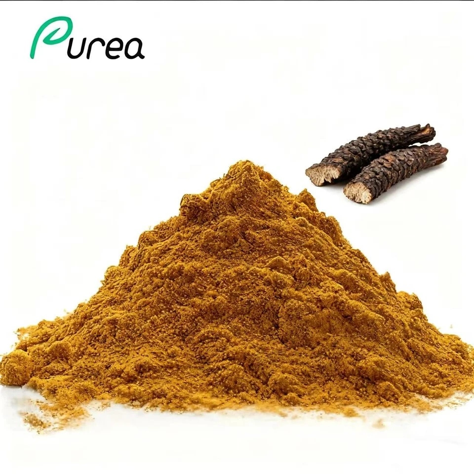 Cistanche Extract پاؤڈر