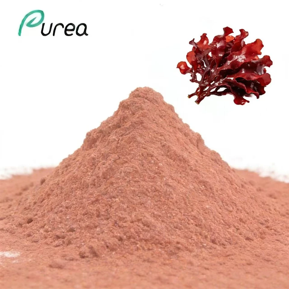 سرخ الجی ایکسٹریکٹ پاؤڈر